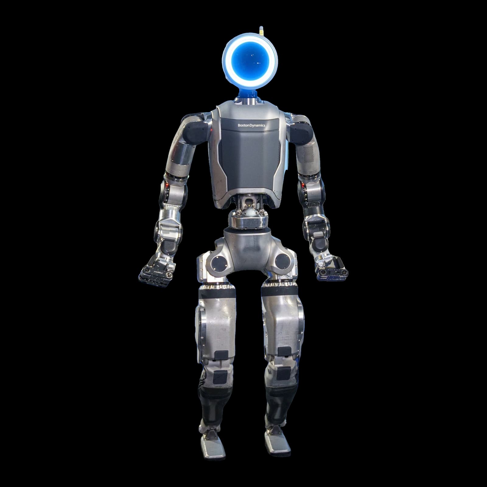 Atlas