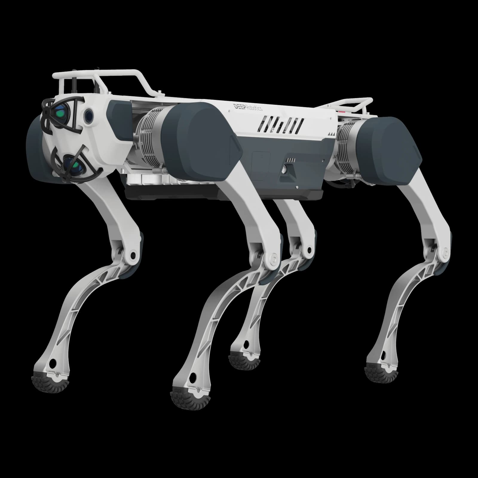 Deep Robotics X30
